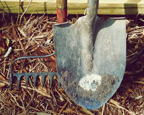Close up of gardening tools and hands